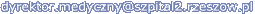 Z-ca Dyrektora ds. Lecznictwa-Adres E-mail