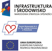 Program Operacyjny Infrastruktura i rodowisko